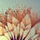 Thumbnail: Morning Dew