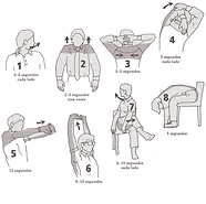 Ejercicios para la espalda en la oficina