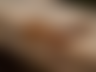 The Importance of Termite Control: Protecting Sarasota Homes from Termites