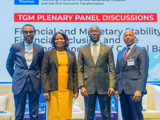 Financing Resilient Prosperity: What the Nature Bank Put on the Table in Abuja