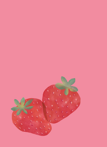 Probiotics and Fermentation