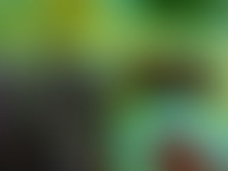 Christmas Wreath Making 2025