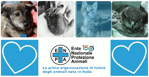 enpa_con_il_cuore.gif