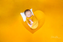 IMG_0631 copy