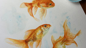 Choice of watercolour paints for painting goldfish