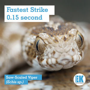 Social media posts to coincide with 2024 Summer Olympics