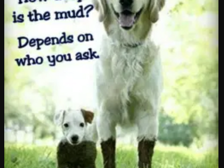 It's so Important for us to Teach our children Compassion and Empathy