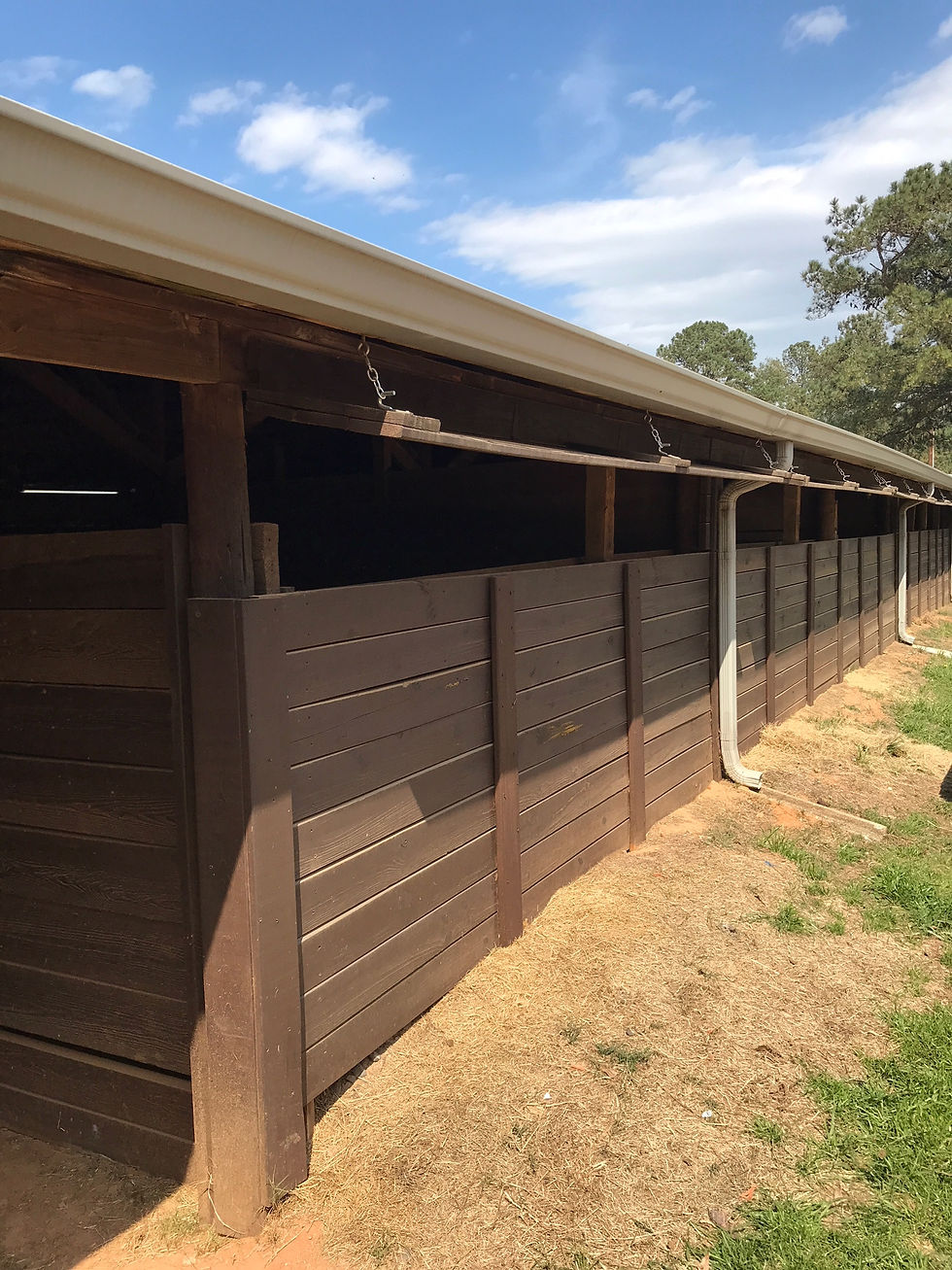 Horse Stall - Exterior View