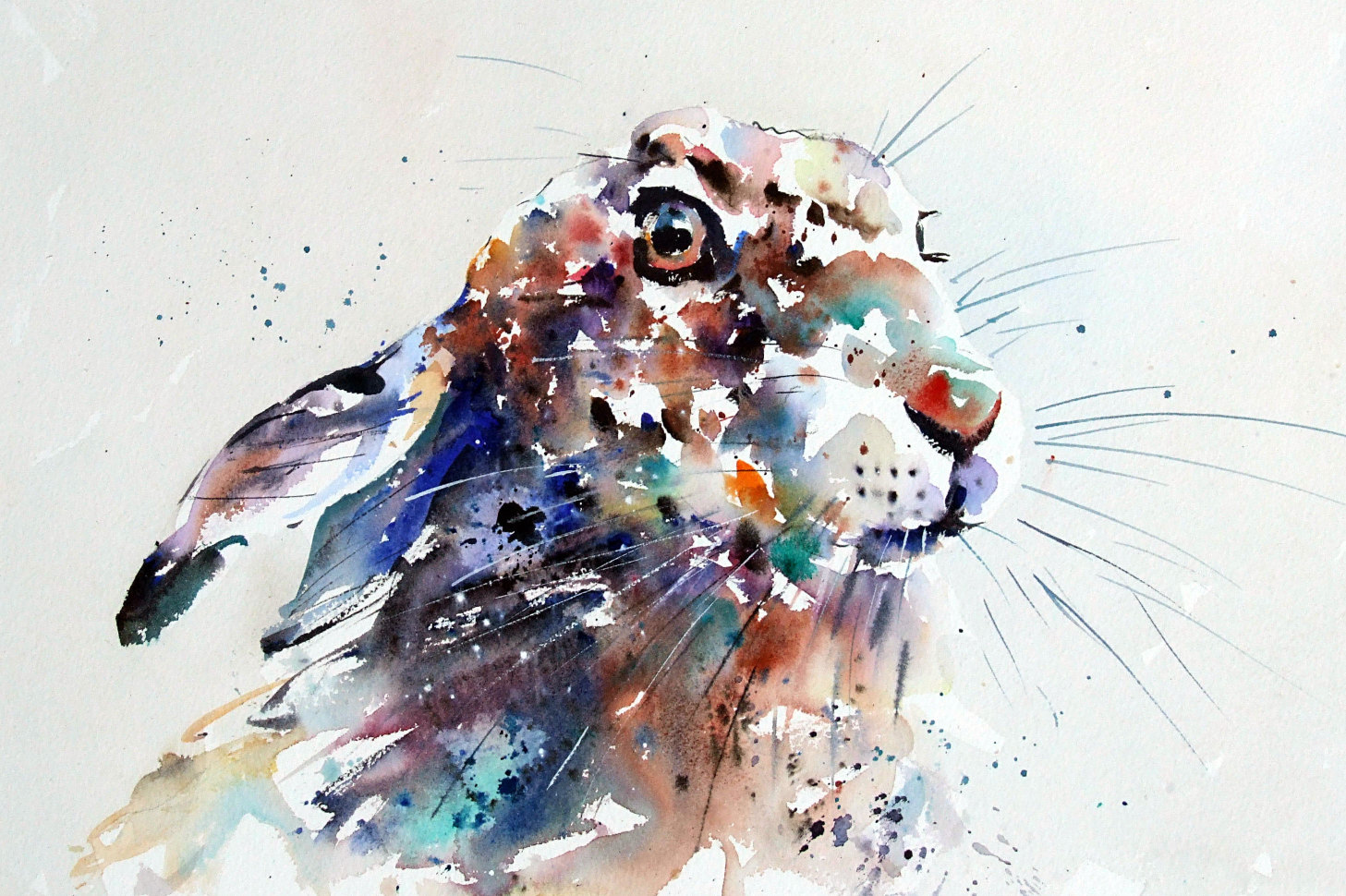 Jake Winkle Gallery 1