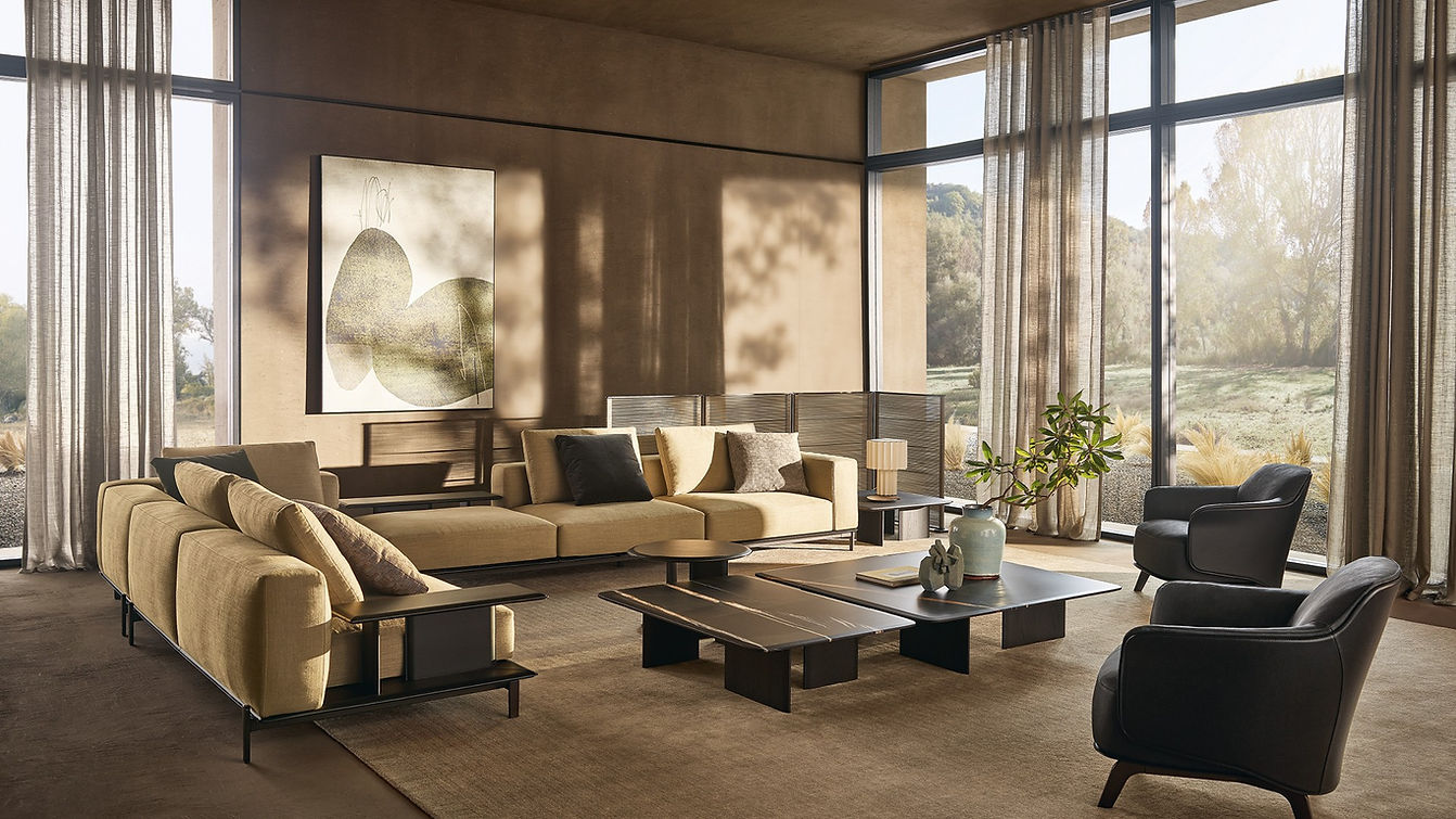 Poliform Sofa Brera