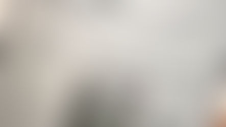 What Really Happens During a Professional Interior Design Consultation