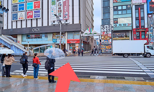 P1002288_edited.jpg
