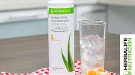 Herbal Aloe Concentrado Mango