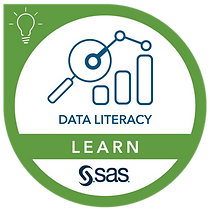 168058-badges-Learn-DataLiteracy.png