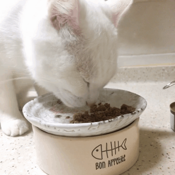 縮圖：SAJO 貓罐罐 (雞肉吞拿魚 / 160ml)