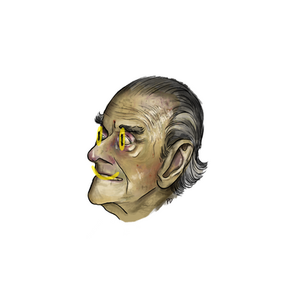 Untitled_Artwork 3.png