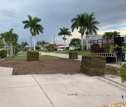 Sod installation project in Florida using St. Augustine Floratam sod.