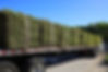 A truckload of freshly cut St. Augustine sod being delivered at a local garden center. .jp