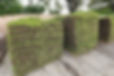 Pallets of St. Augustine sod waiting to be sold at a local garden center_edited.jpg
