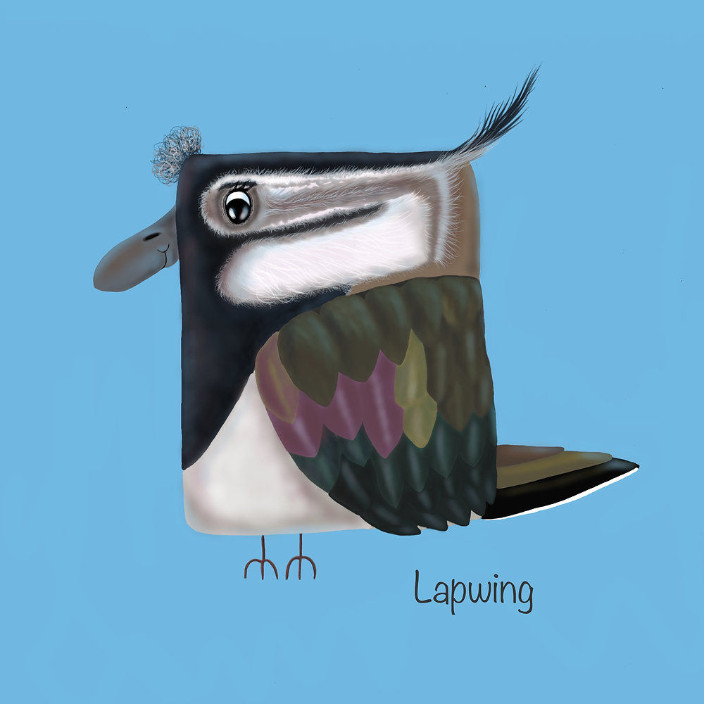 'Lapwing' - Coastal Bird Print