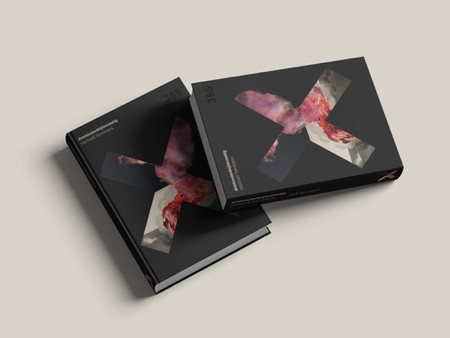 RAPHAËL HERMANS X365 DAILY ART PROJECT