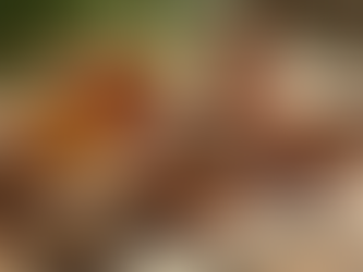 Discover Vegan-Friendly Holistic Solutions