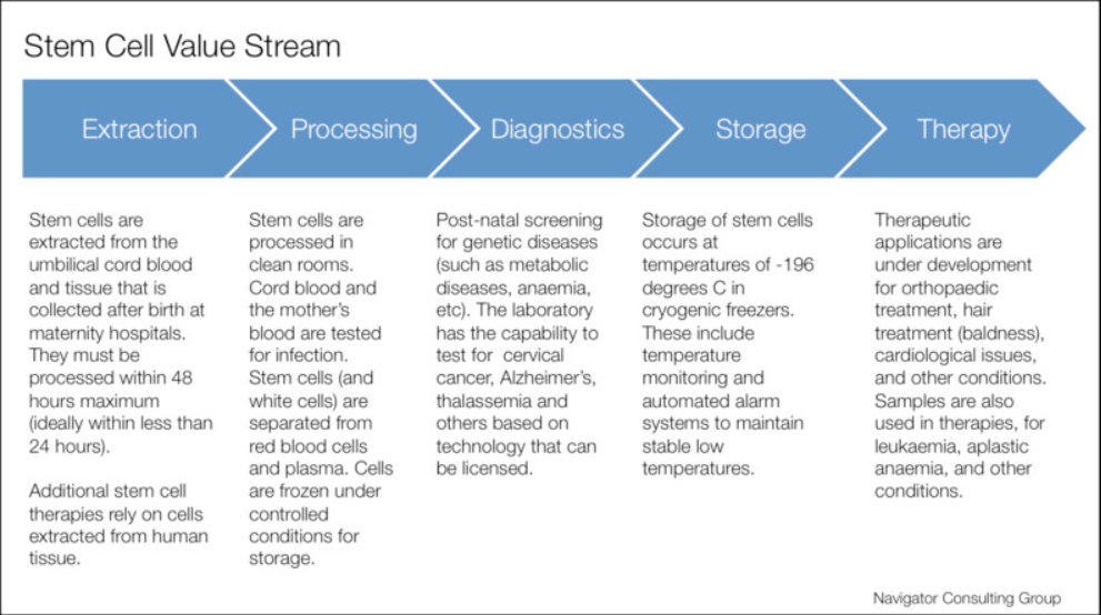 Stem cells, Research, Review, Europe, Due Diligence, Business plan, Navigator, Consulting, Europe