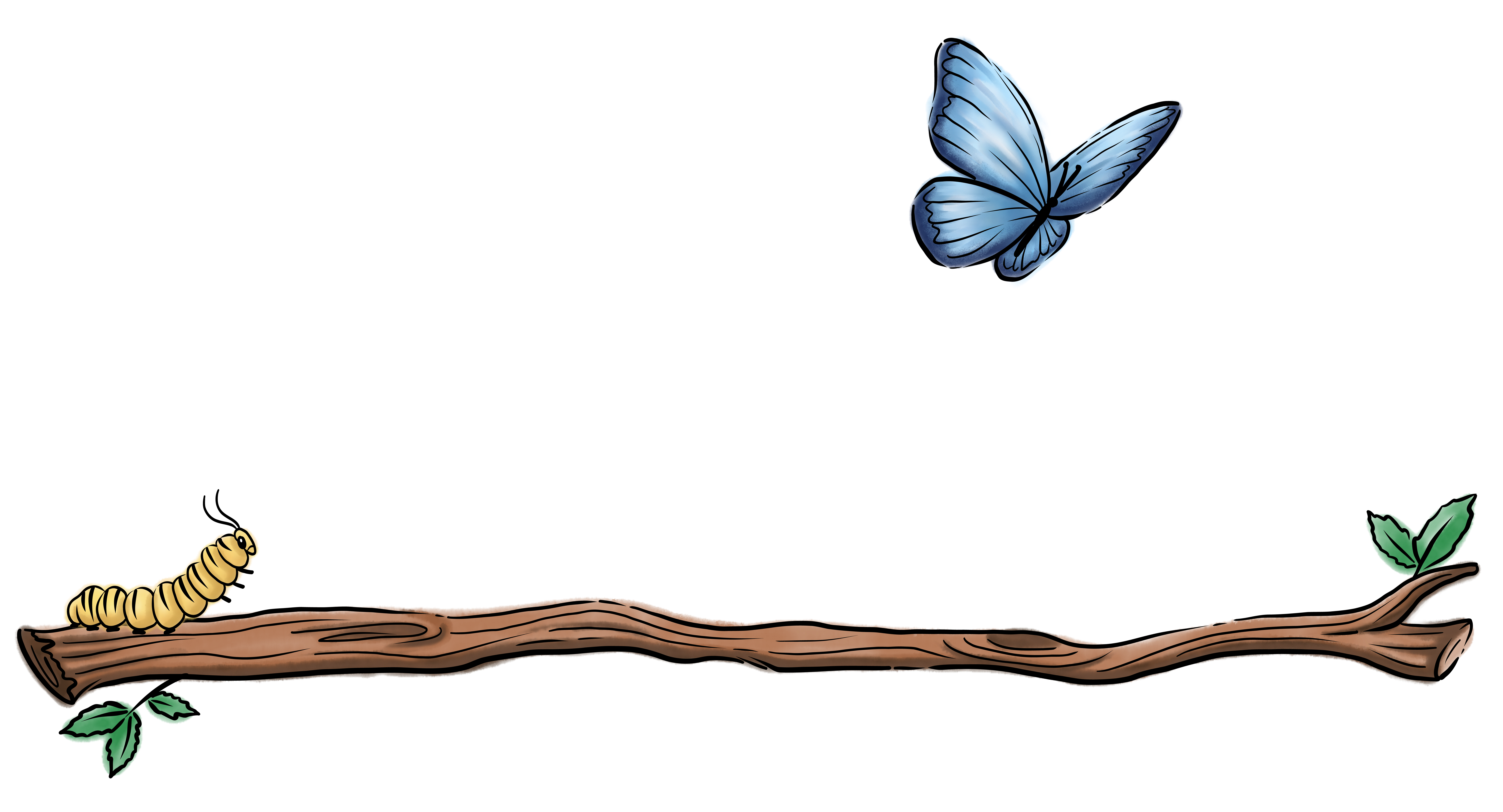 BBDC Full Logo - Color - White - no tagline-01.png