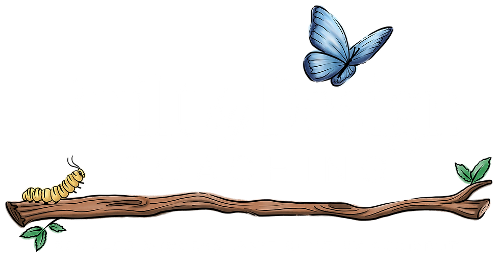 BBDC Full Logo - Color - White-01.png