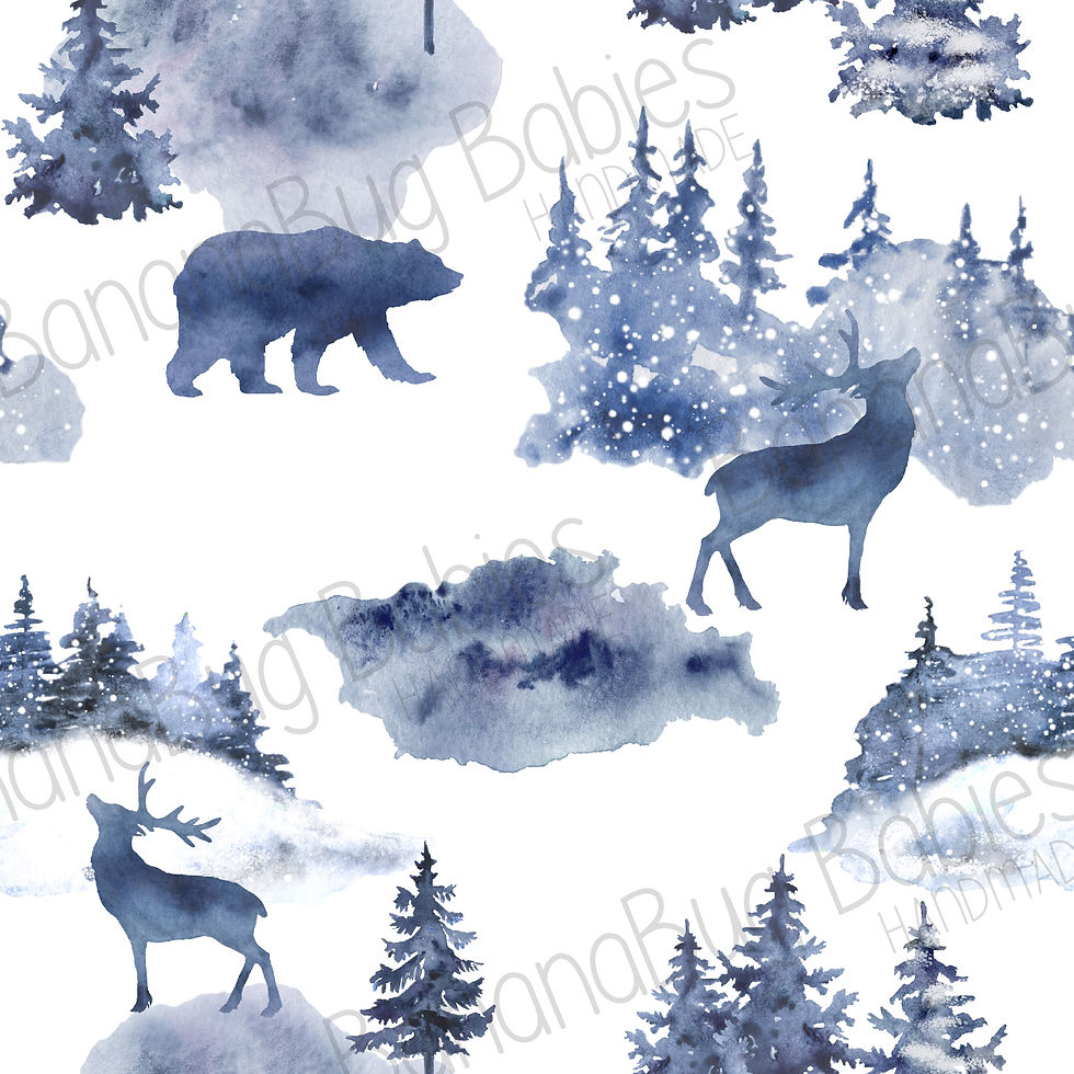 Winter Forest