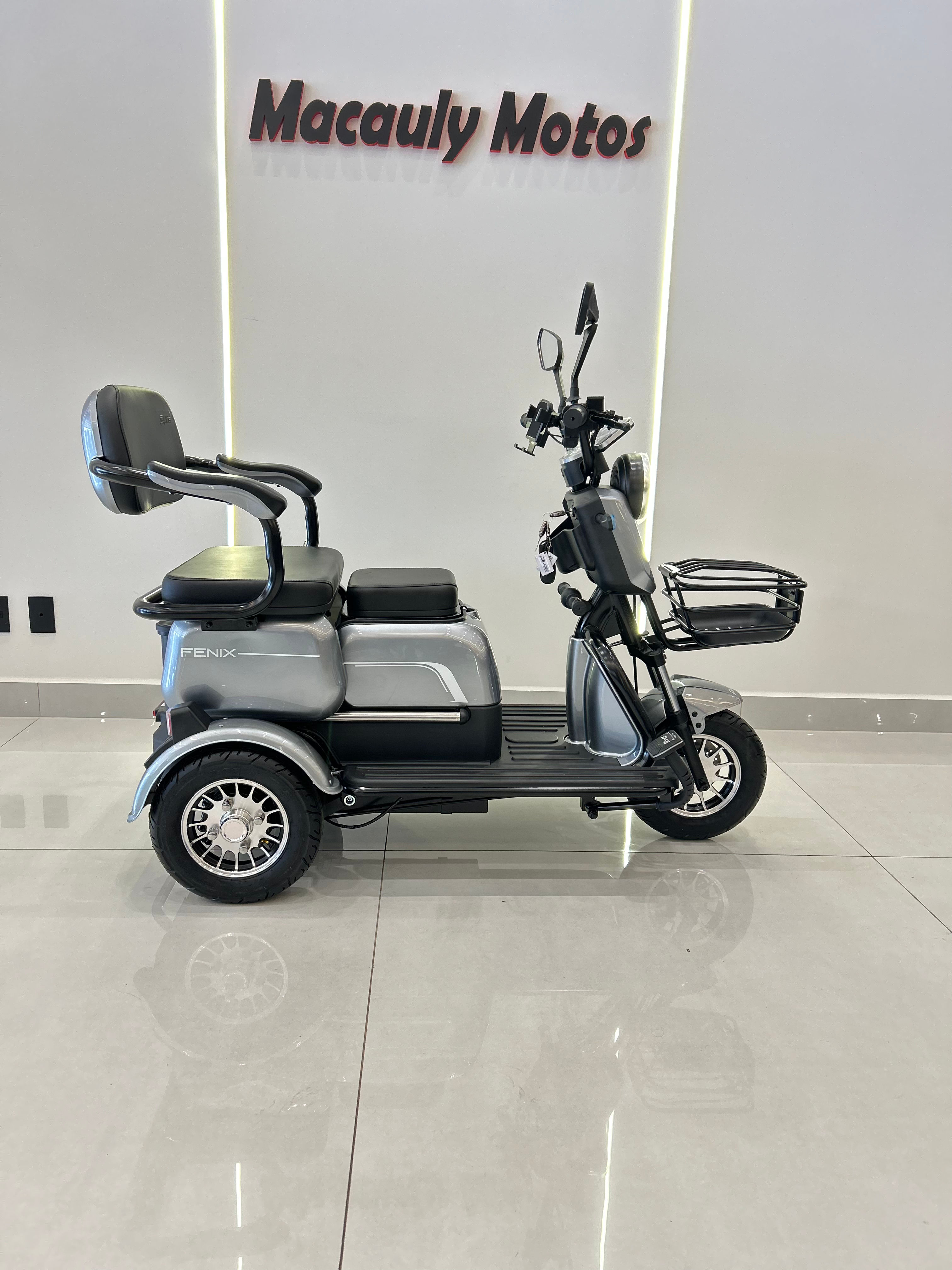 TRICICLO ELETRICO DUOS FENIX
