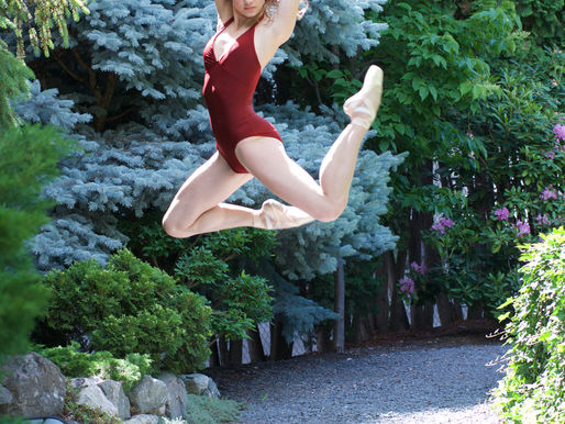 Tarina Soars!