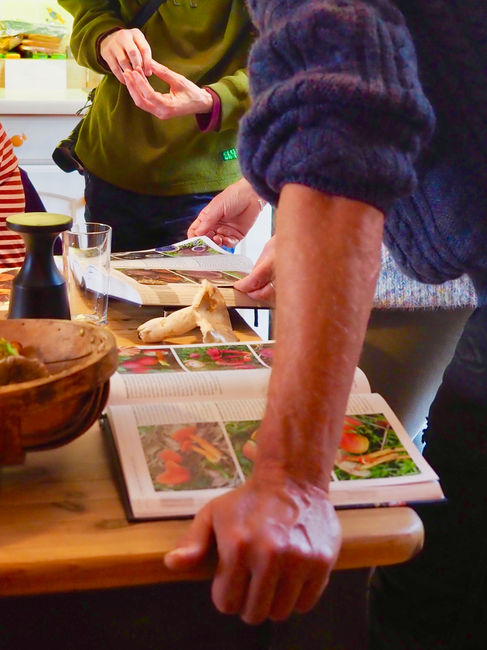 the books.jpg