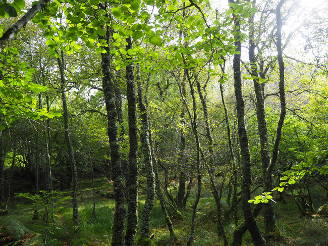 P9290014.jpg