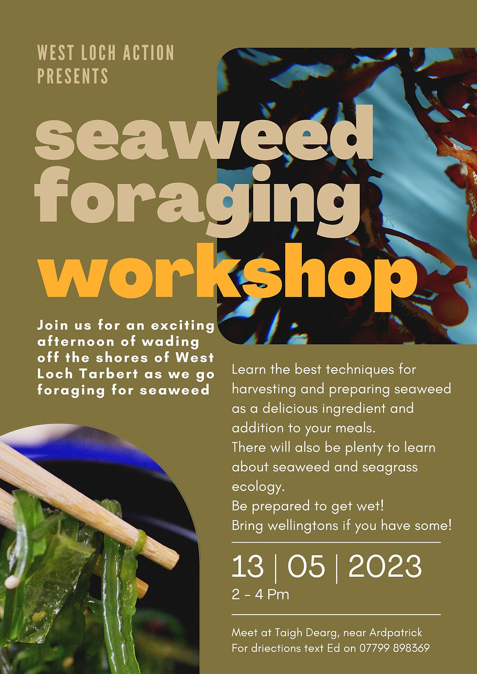 Come Seaweed Foraging with us!
