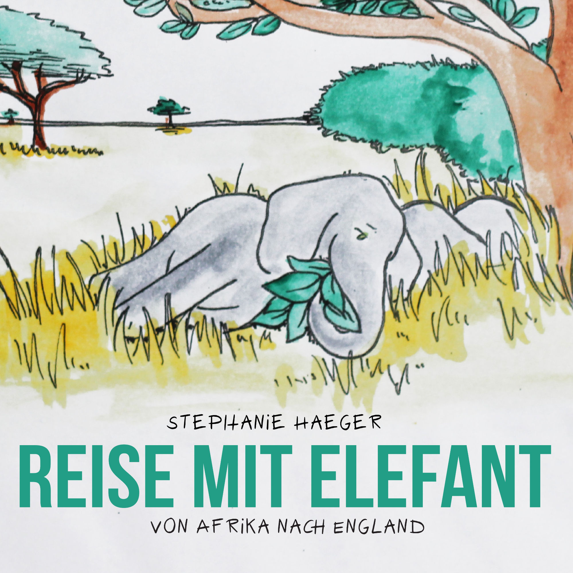 Reise mit Elefant