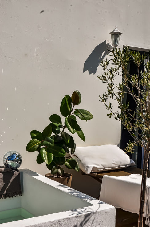 Végétalisation bain extérieur 