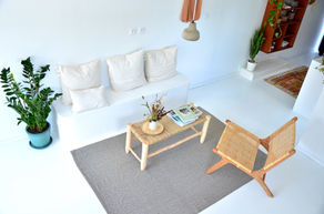 Végétalisation Salon  