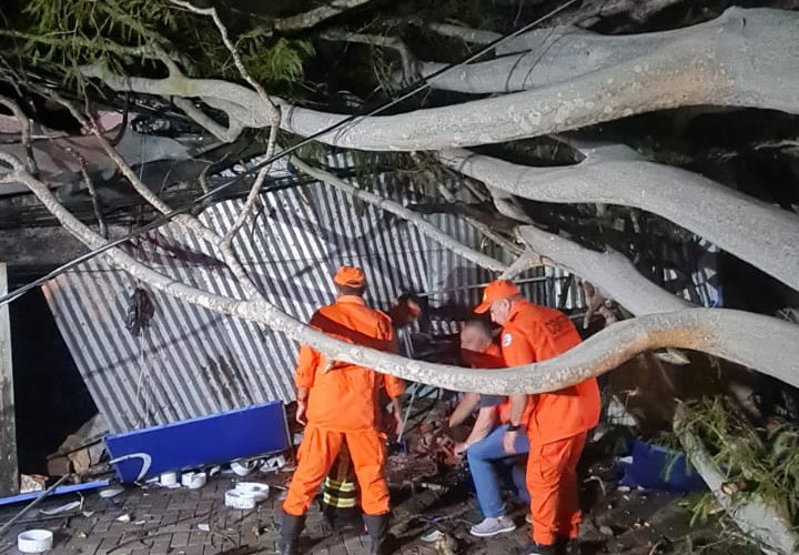 "Árvore caída sobre a clínica Sorriso & Cia durante a tempestade em Teresina