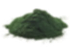 CHLORELLA POLVO