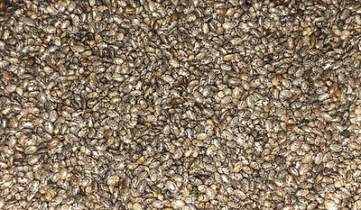 Chia mexicana en mayoreo