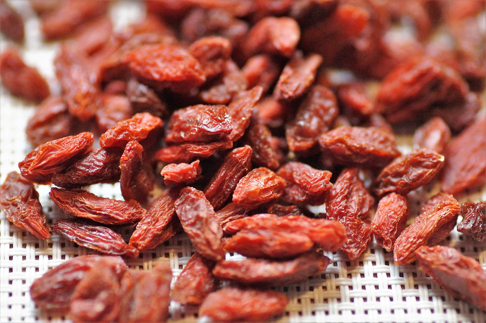 GOJI BERRY