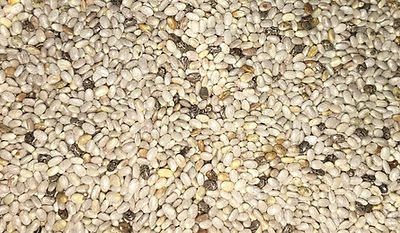chia blanca mexicana
