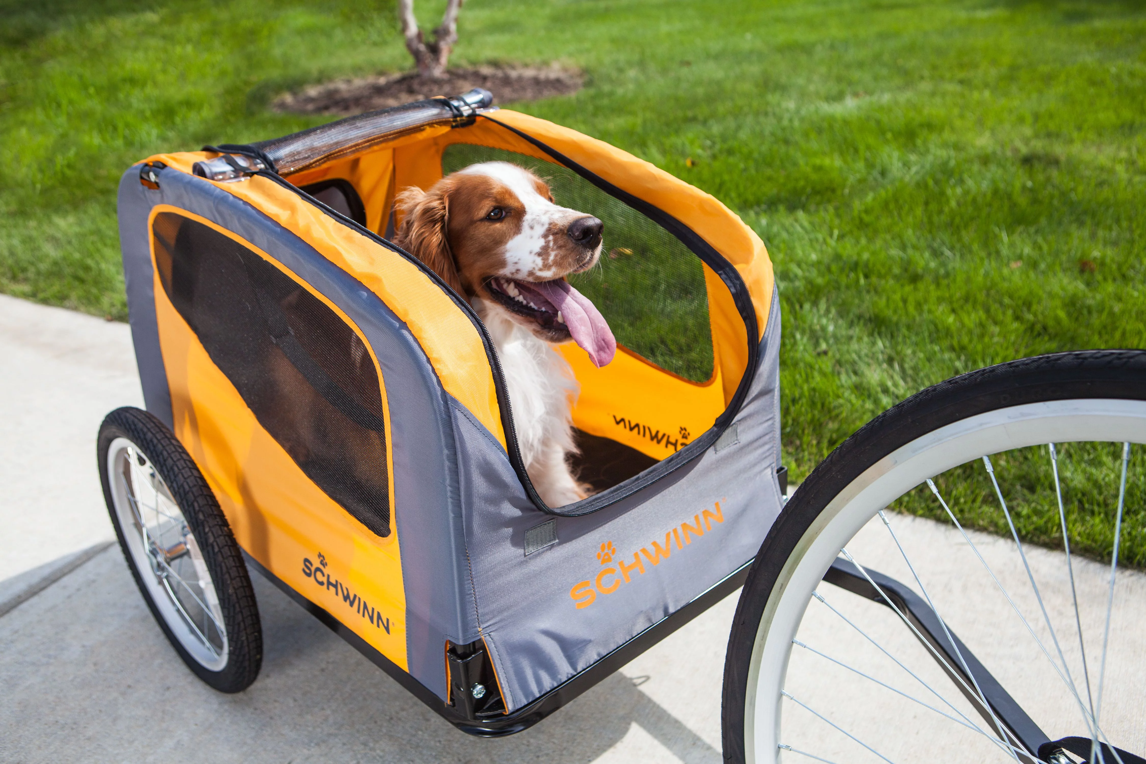 dog wagon for bike