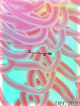 01-COVER.jpg