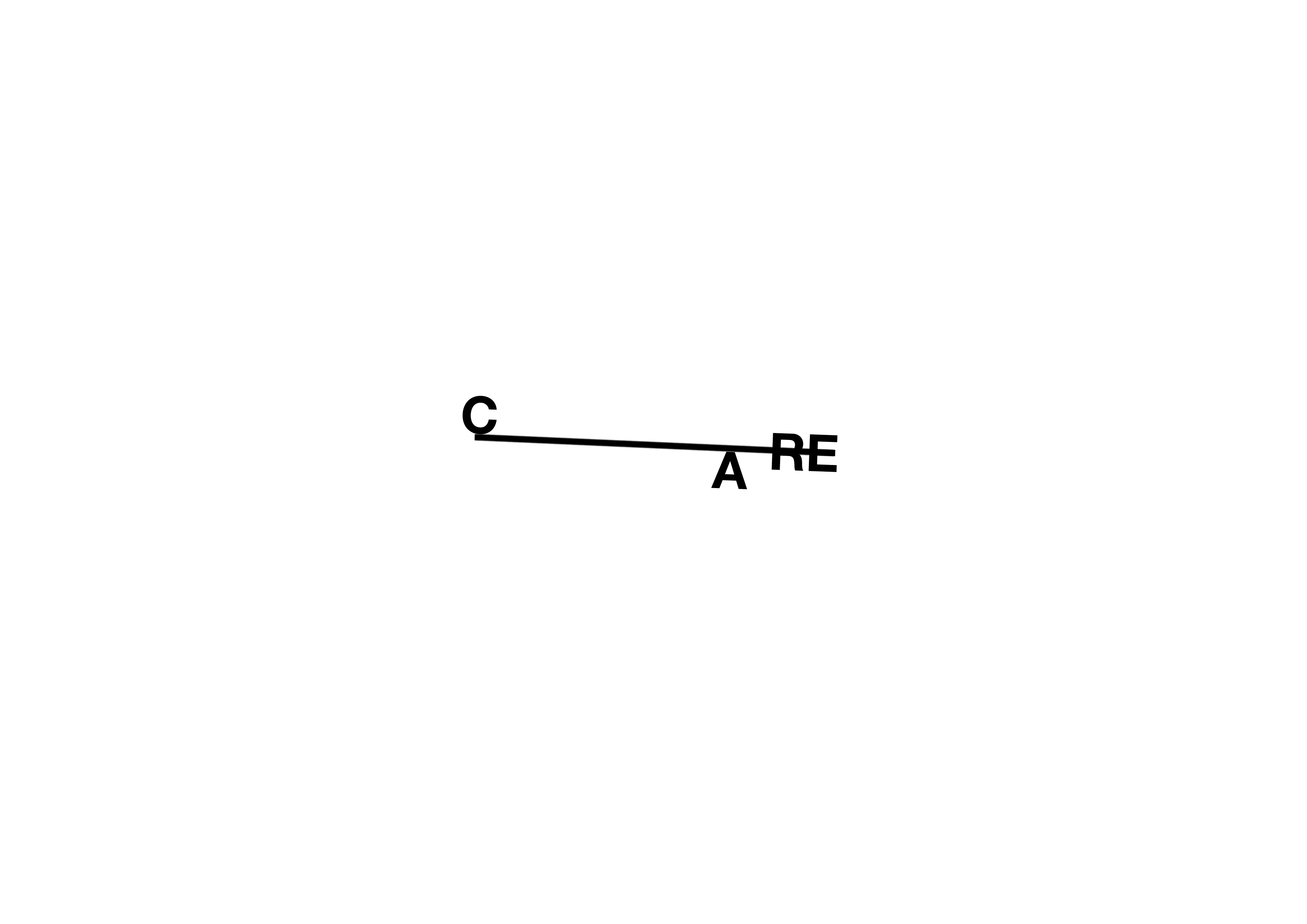 care logo black.jpg