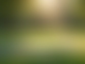 Revitalize Your Week with Sip’n’Stretch: A Unique Outdoor Experience at Basterfield Park