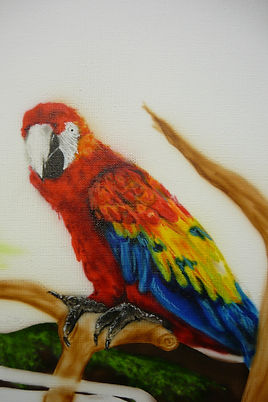 airbrush canvas animals football jungle airbrushed airbrushing darts