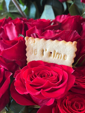 WhatsApp Image 2025-02-05 at 11.08.23.jpeg