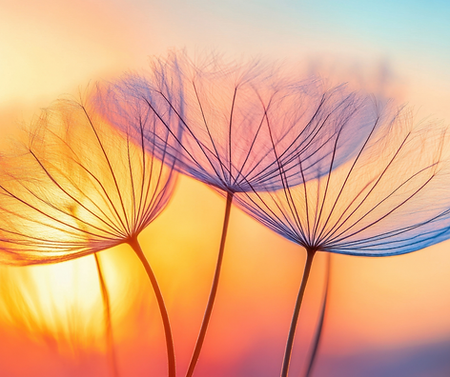 Bewusst-Unbewusst, Itingen, Schweiz